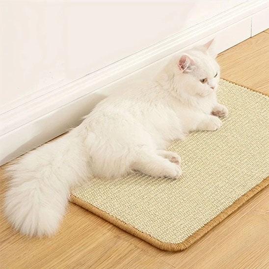 Griffoir chat | Tapis