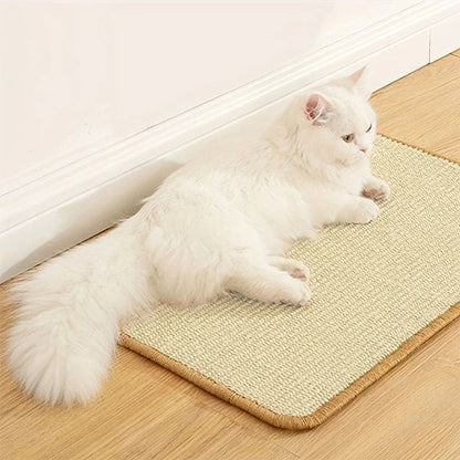 Griffoir chat | Tapis