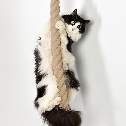 griffoir pour chat | Escalad'