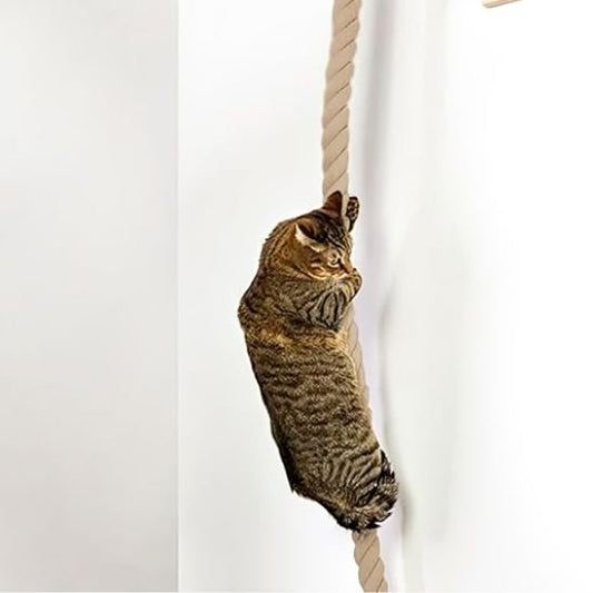 griffoir pour chat | Escalad'