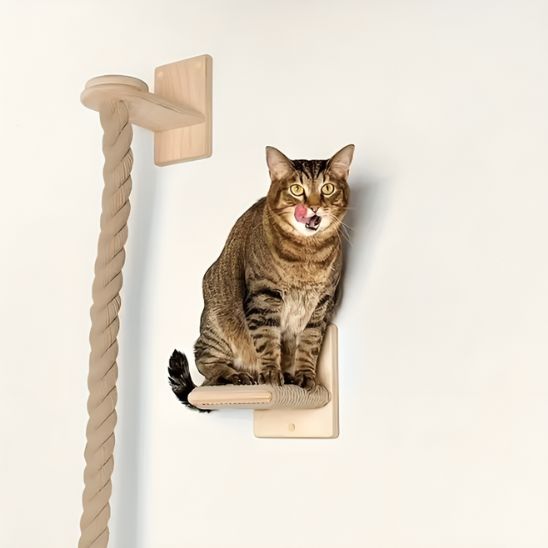 griffoir pour chat | Escalad'