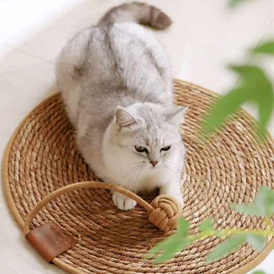 griffoir_pour_chat_paille_joue avec une balle