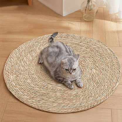 griffoir_pour_chat_paille_poser