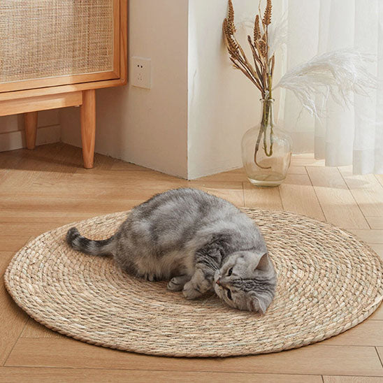 griffoir_pour_chat_paille_repos