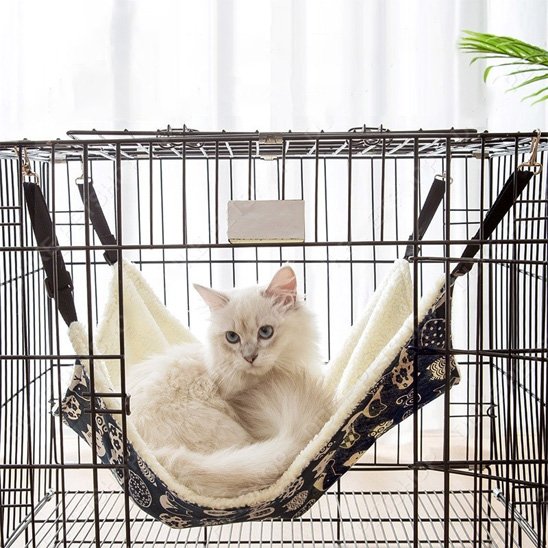 hamac chat - chat dans une cage et le hamac chat