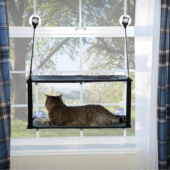 hamac chat fenetre - chat installé sur le hamac