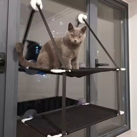 hamac chat fenetre - chat sur le premier etage