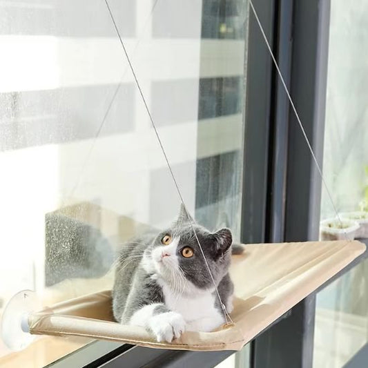 hamac chat fenetre - hamac fenetre beige