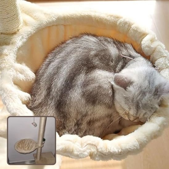 Hamac pour chat - chat qui dort dans le hamac beige