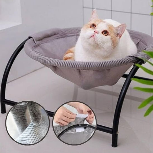 Hamac pour chat - chat qui regarde dans son hamac