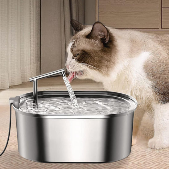 Fontaine A Eau Chat | En Acier Inoxydable