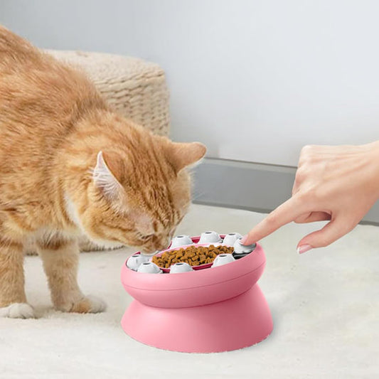 distributeur de croquette chat | interactive