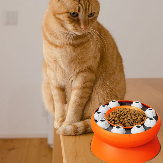 distributeur de croquette chat | interactive