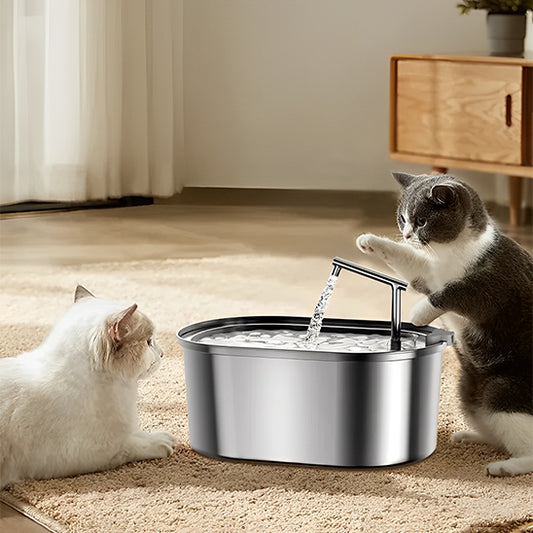 Fontaine A Eau Chat | En Acier Inoxydable