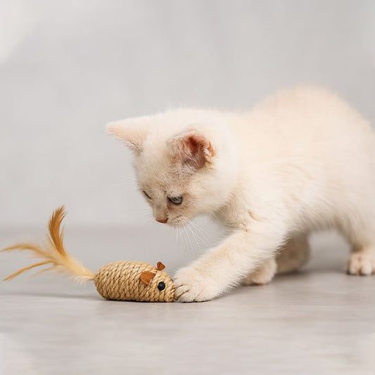 Jouet pour Chat - sisal