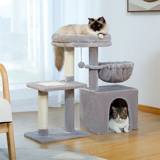 Petit arbre a chat​