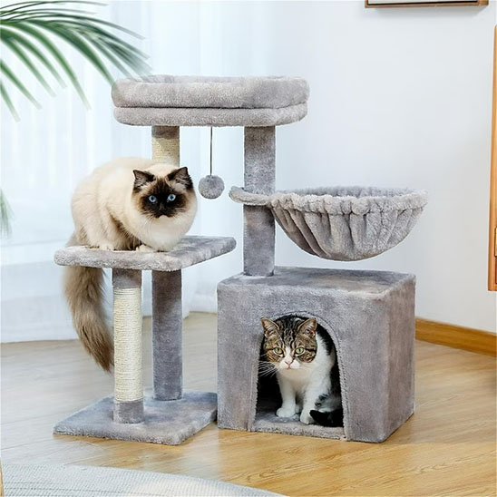 Petit arbre a chat​