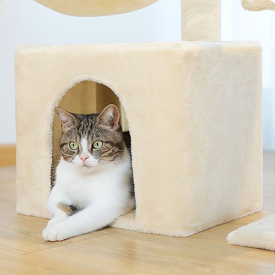 petit-arbre-a-chat en caisse