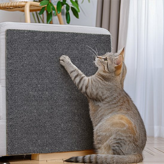Protection canapé chat griffe