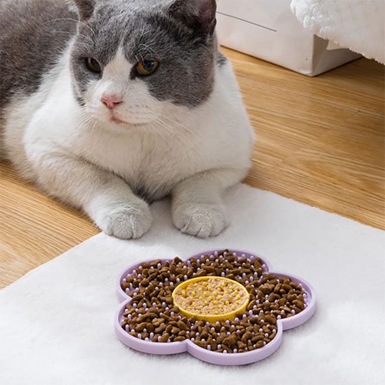 Tapis de lechage a cote
