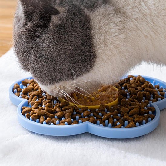 Tapis de lechage mange