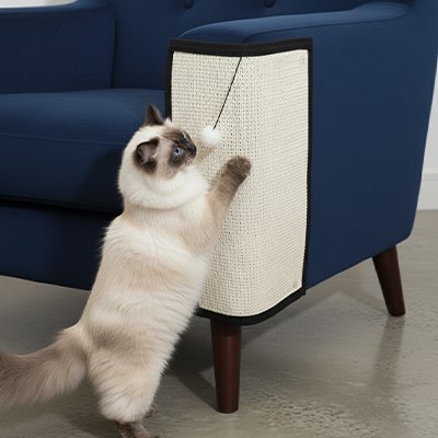 tapis-griffoir-chat_fauteuil
