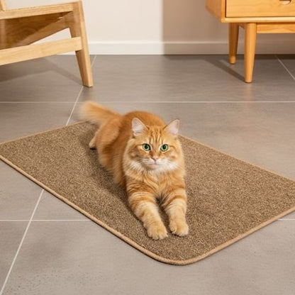 tapis-griffoir-chat_roux etire